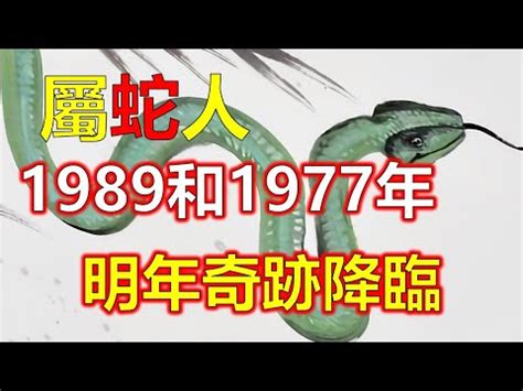 1989水蛇|1989年出生的屬蛇人一生的命運